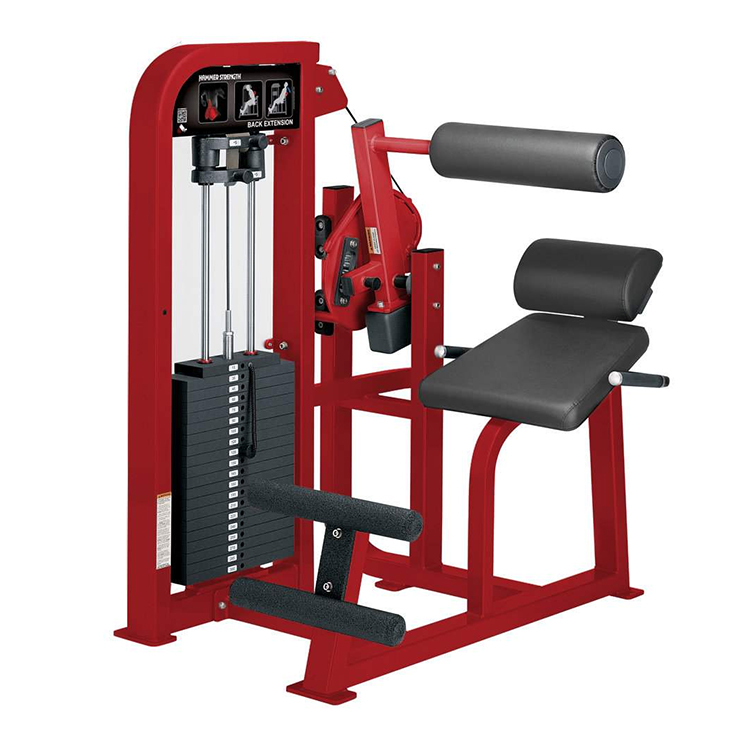 Mga kalamnan sa likod