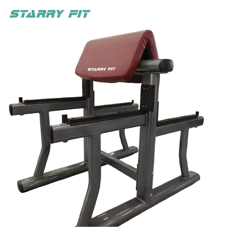 ARM CURL BENCH <Br /> LF-B-Sac ARM CURL BENCH <Br /> LF-B-Sac