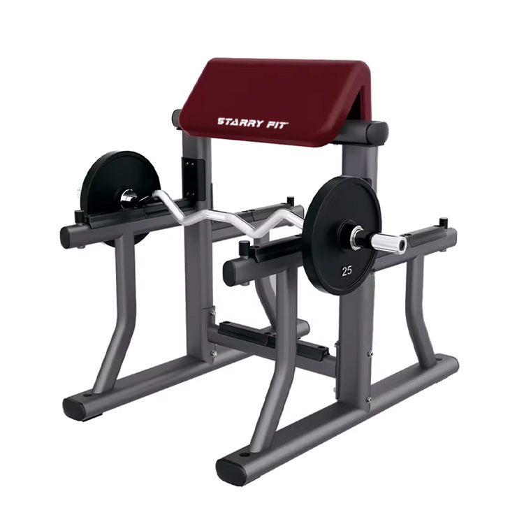 ARM CURL BENCH <Br /> LF-B-Sac